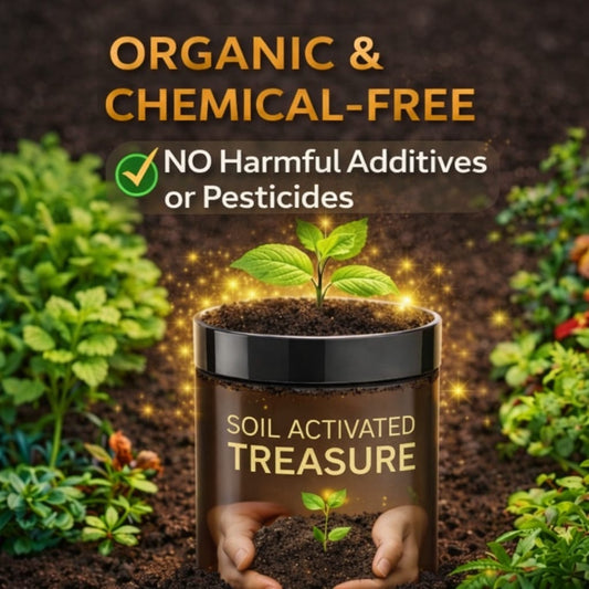 Soil Activated Treasure Premium Soil Activator 200gram (Pack of 2)